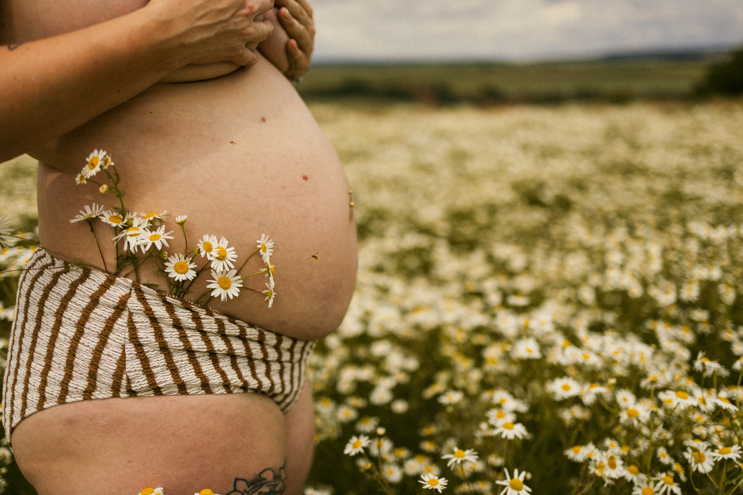 babybauch fotografie, frausein fotografie erfurt, thüringen, doula vivien, schwangerschaft